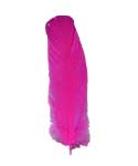 (set of 10) Pink feather 12"