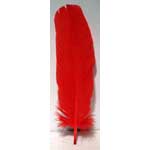 (set of 10) Red feather 12"