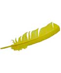 (set of 10) Yellow feather 12"