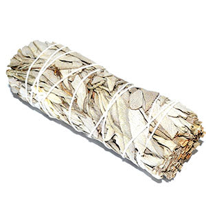 4" White Sage smudge stick