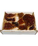~2kg Flat of Citrine Points