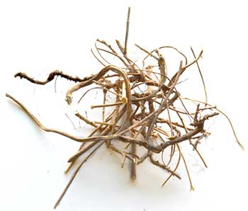 Devils Shoestring whole 1oz