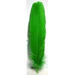 (set of 10) Green feather 12"