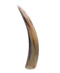 12" Horn End
