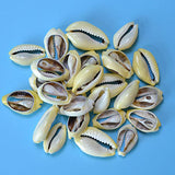 (set of 400) .5-1" Moneta cut (1kg)